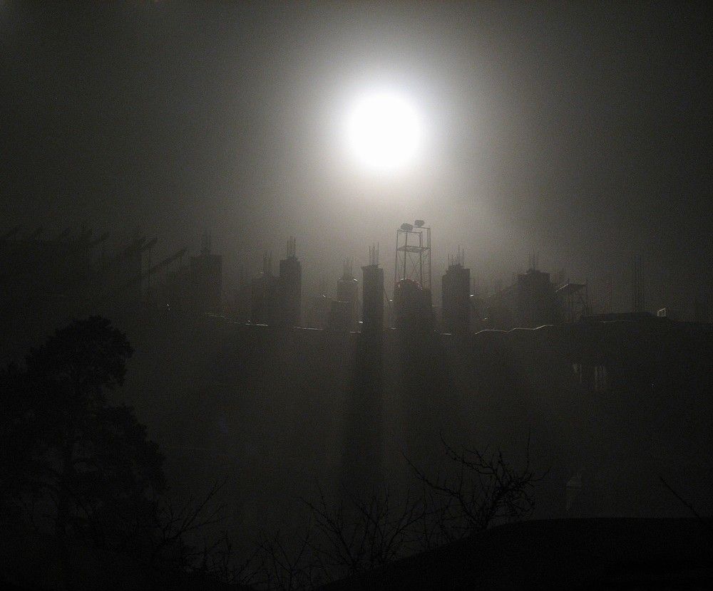 Photo #11337220