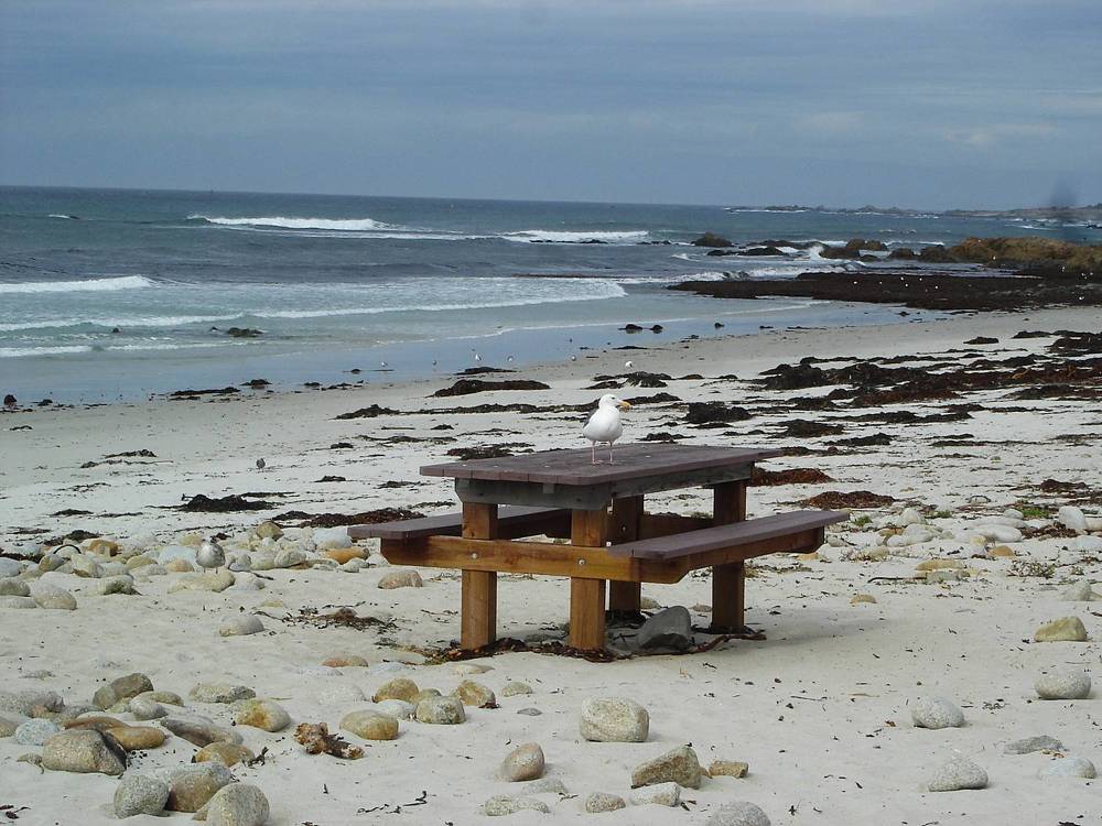 Photograph by Ирина Орлова