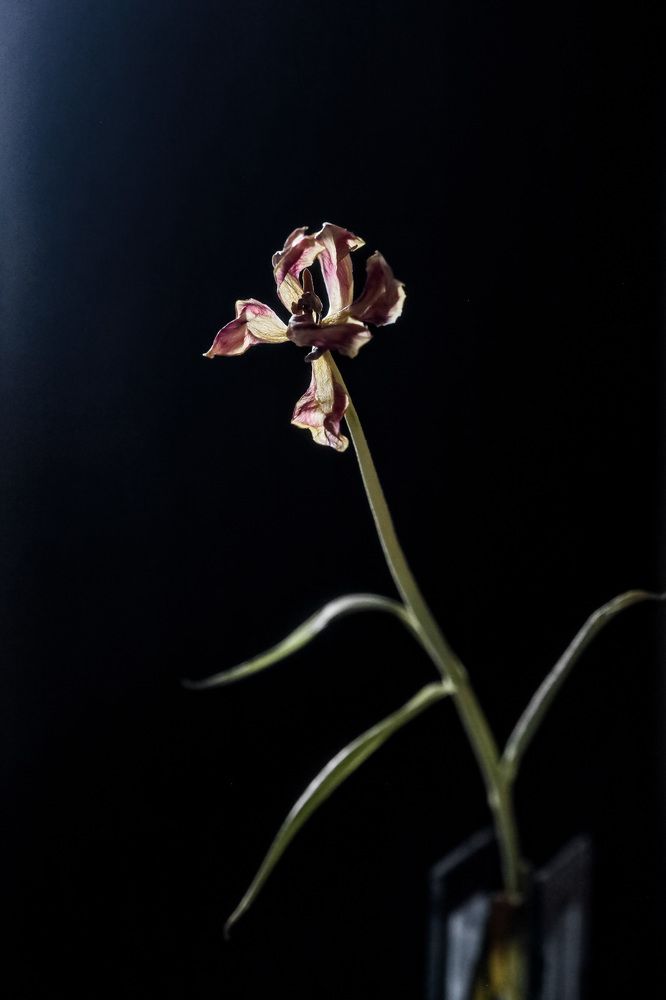 Photograph by Алена Мархель-Дианина