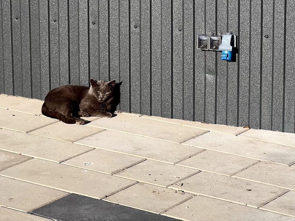 Photograph by Александра Тимошенко