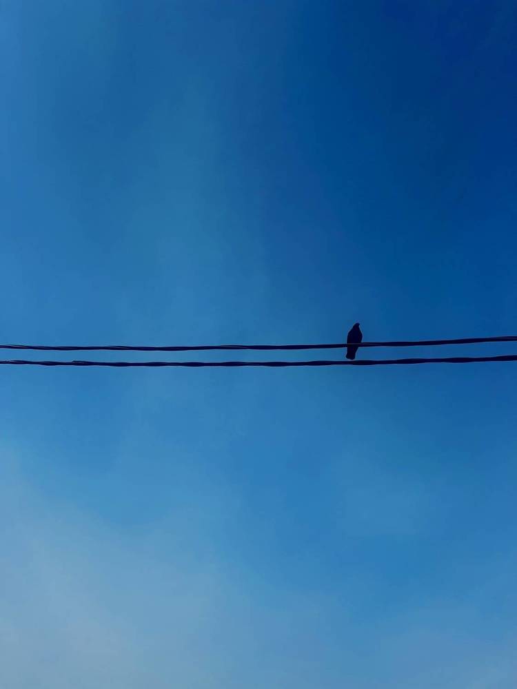 Photograph by Оксана