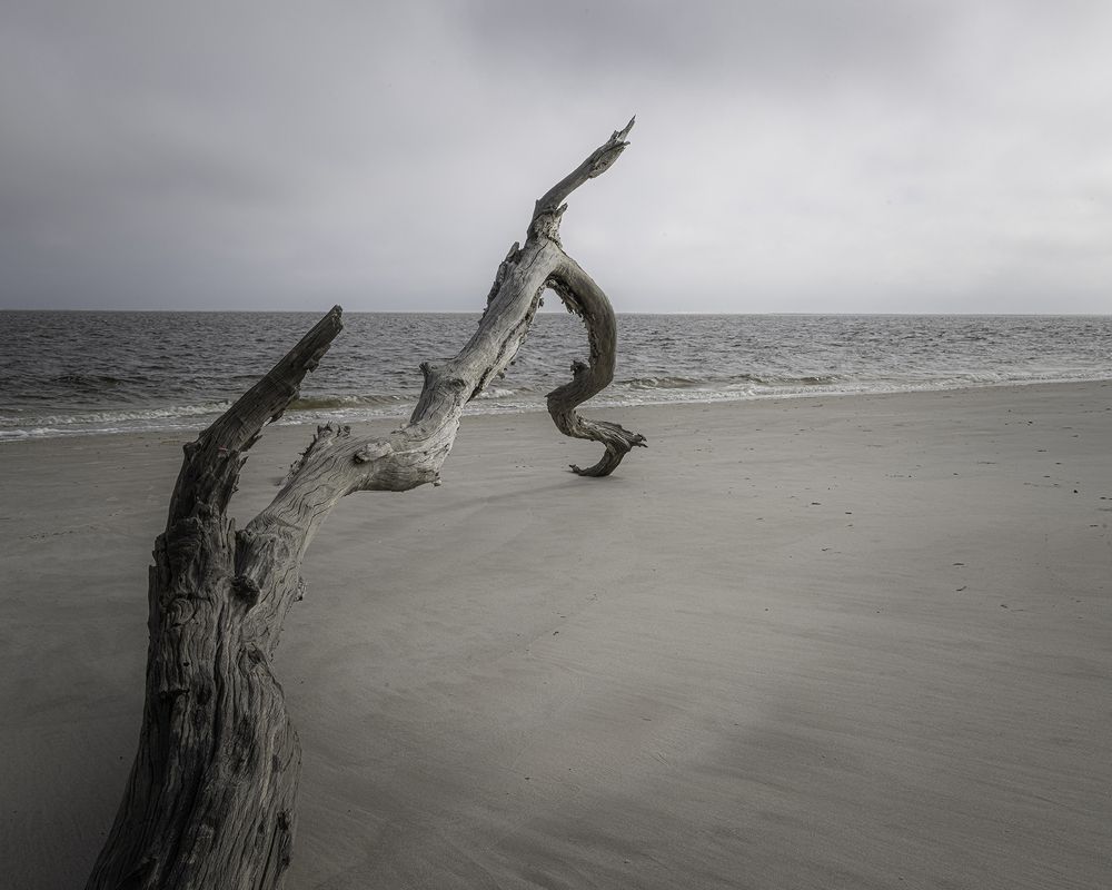 Фотография автора Ray Asiala