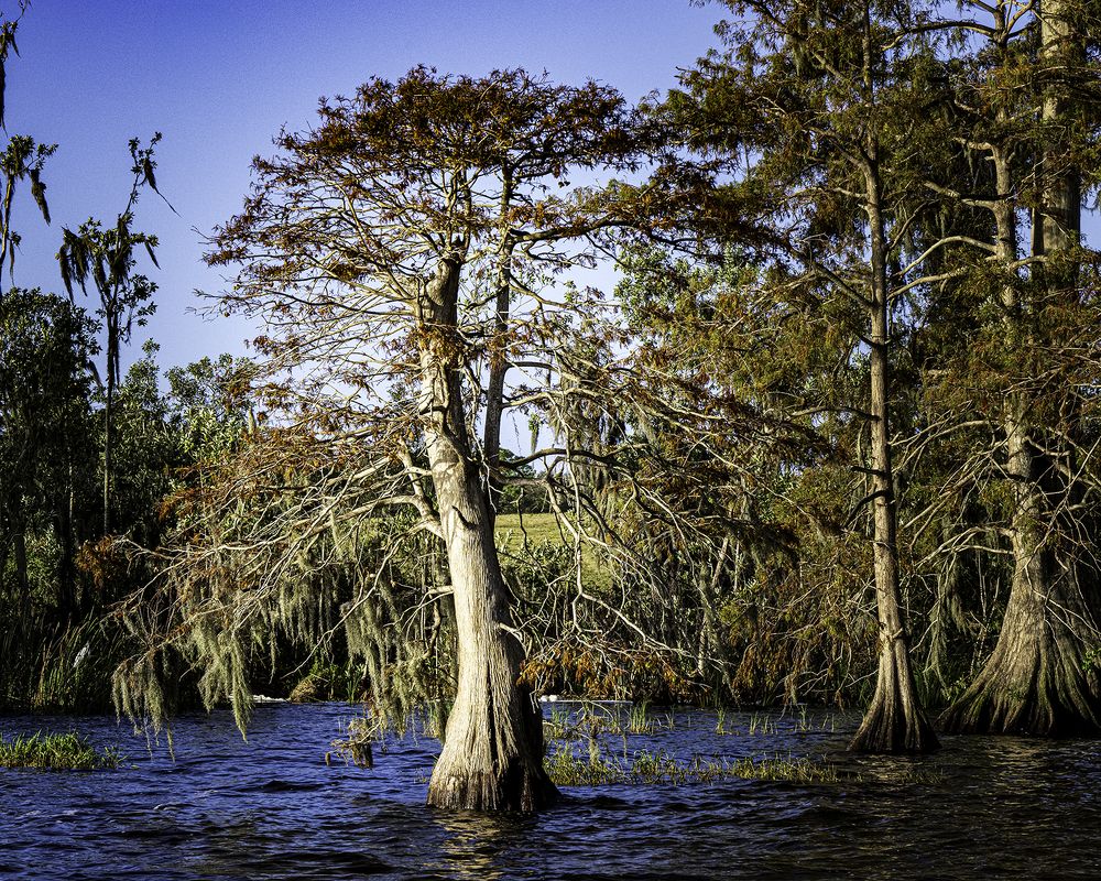 Фотография автора Ray Asiala