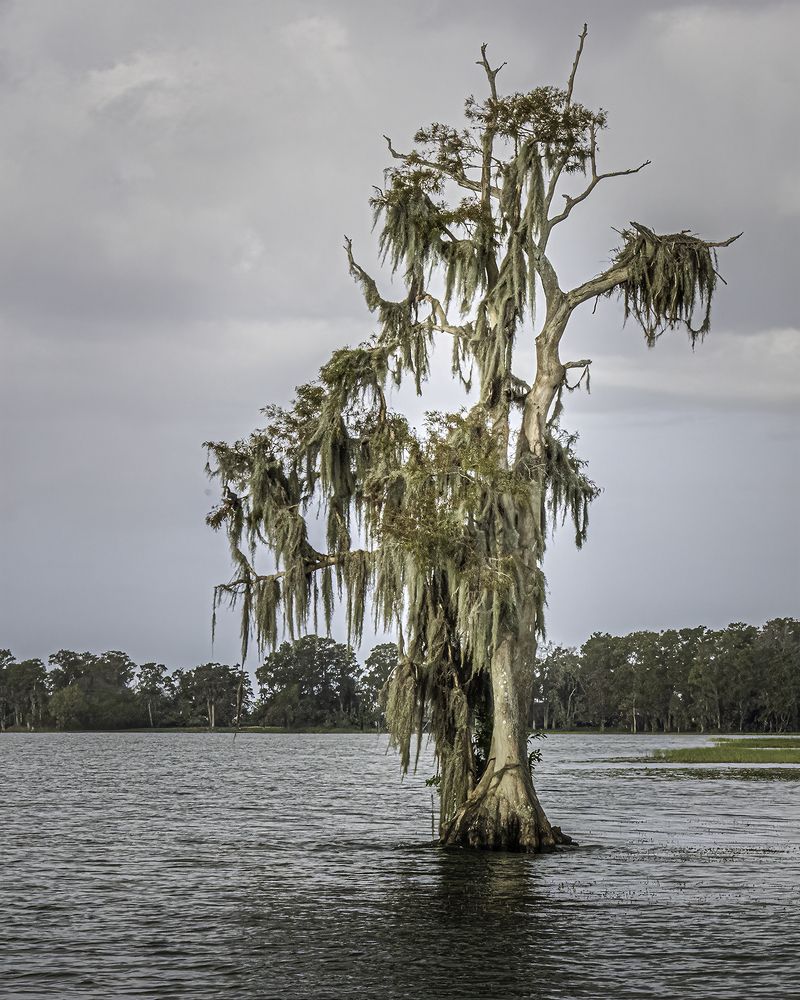 Фотография автора Ray Asiala