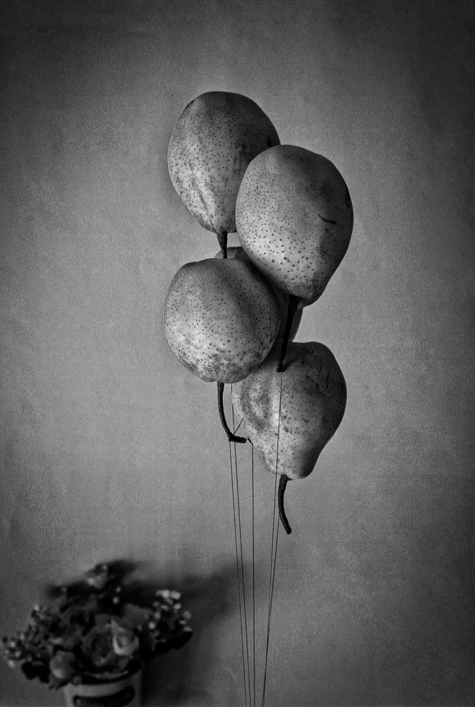 Photograph by Дарья