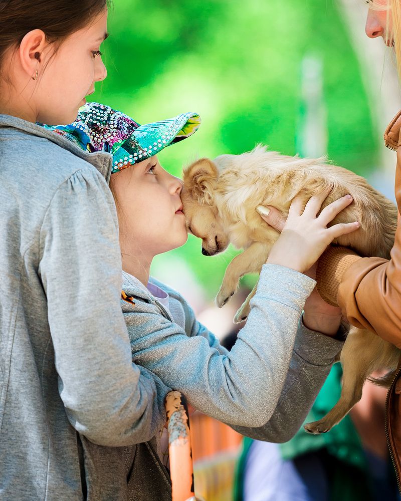 Photograph by Олег Гаричкин