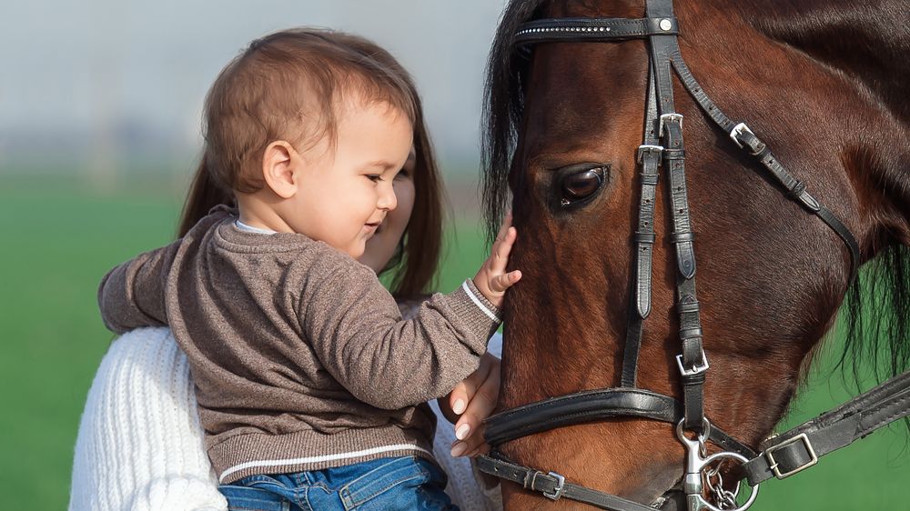 Photograph by Олег Гаричкин