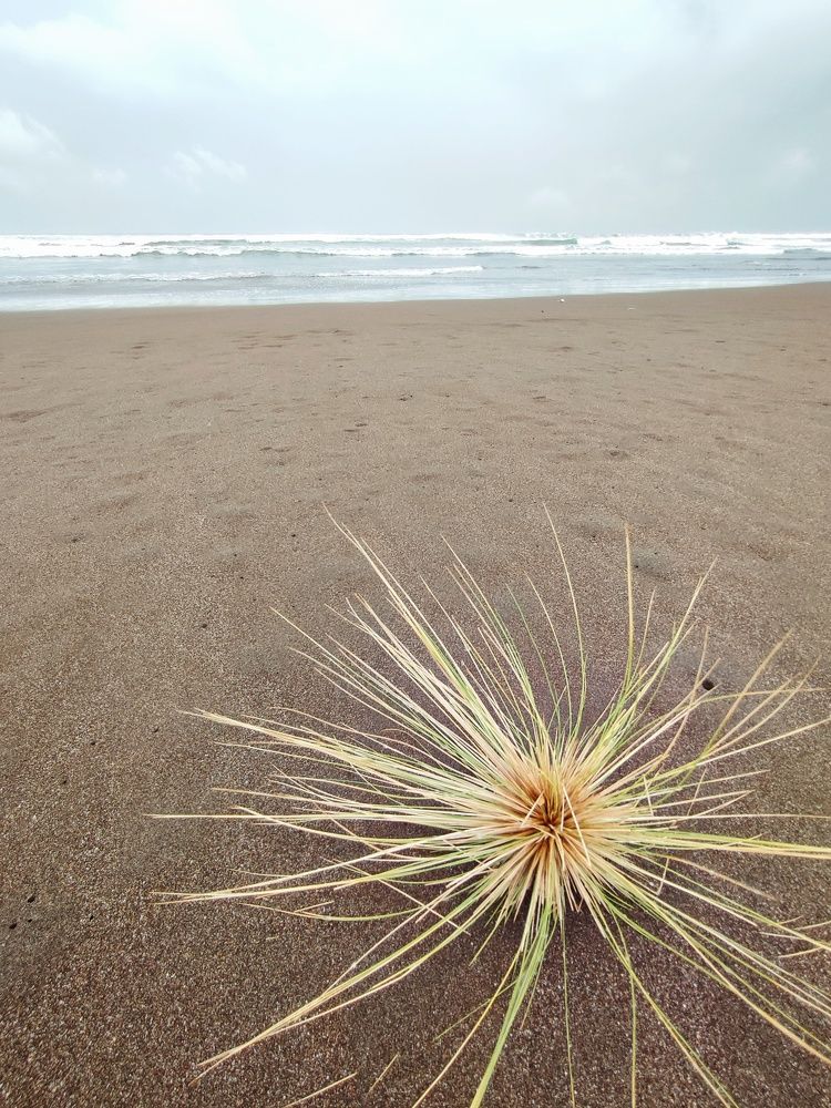 Photograph by Meilany Wijaya