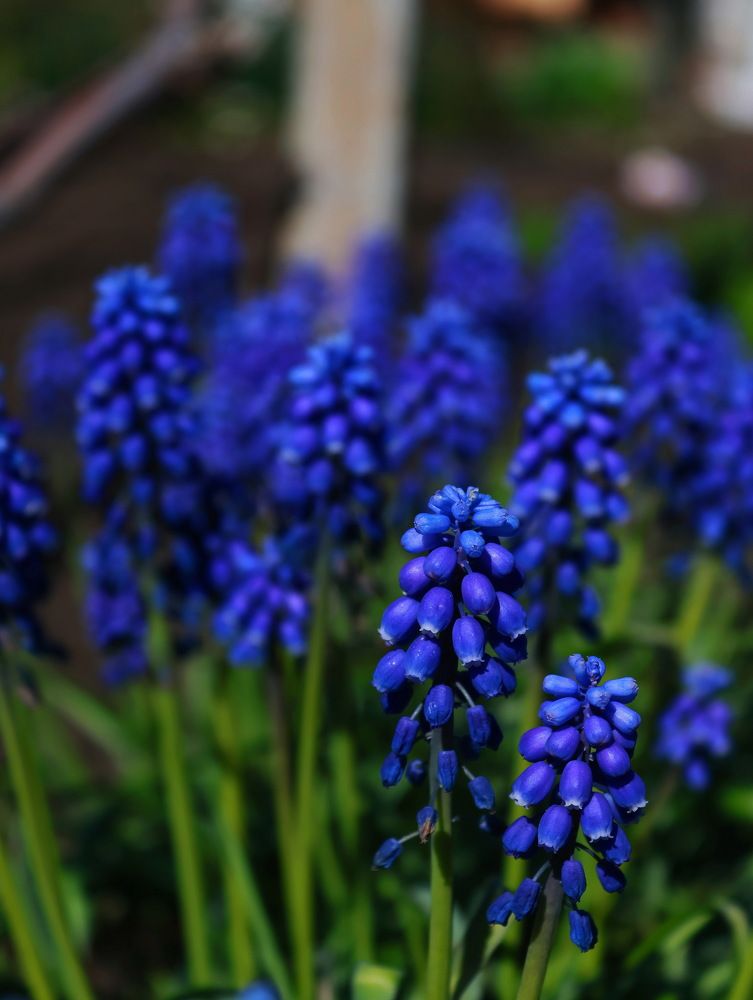 Photograph by Серёга Ануфриев