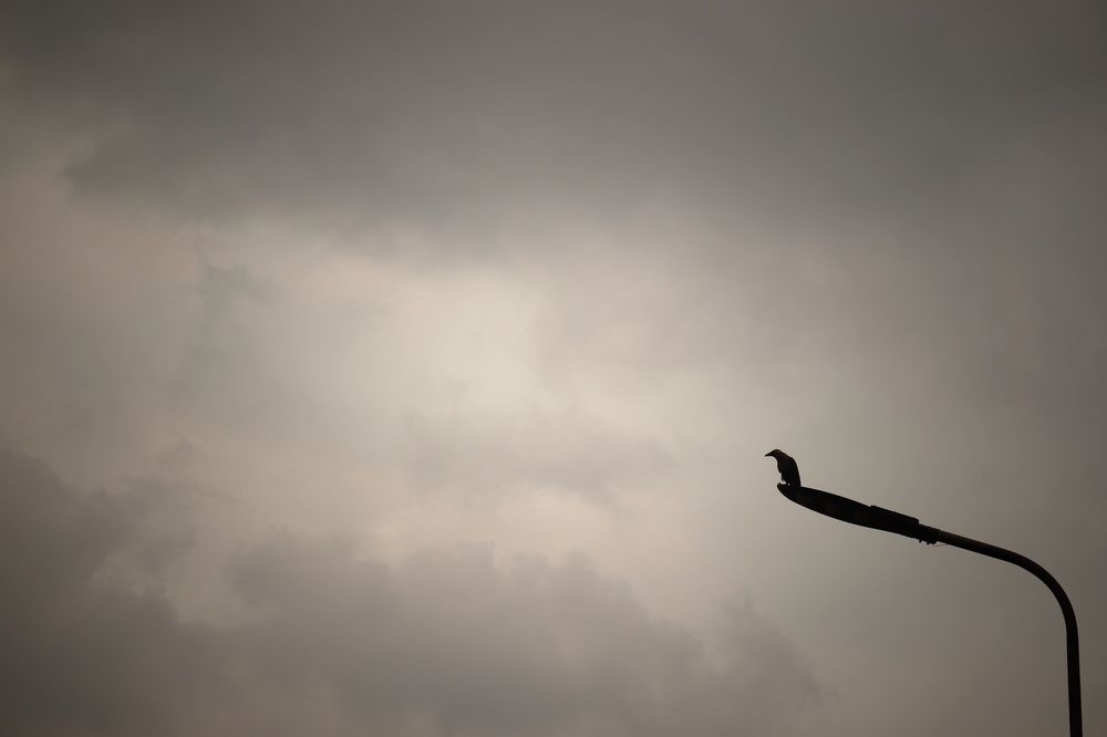 Фотография автора Washiful Majid