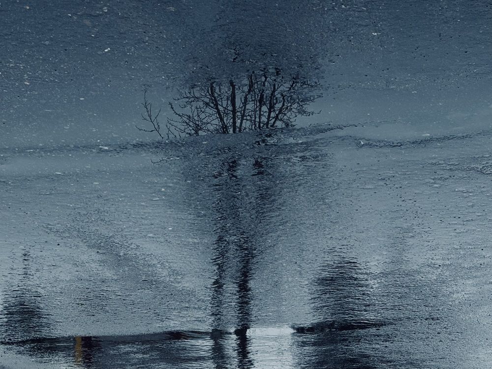 Фотография автора ГУЗАЛИЯ ГАНИЕВА