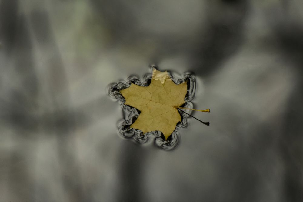 Photograph by Ирина Шибитова