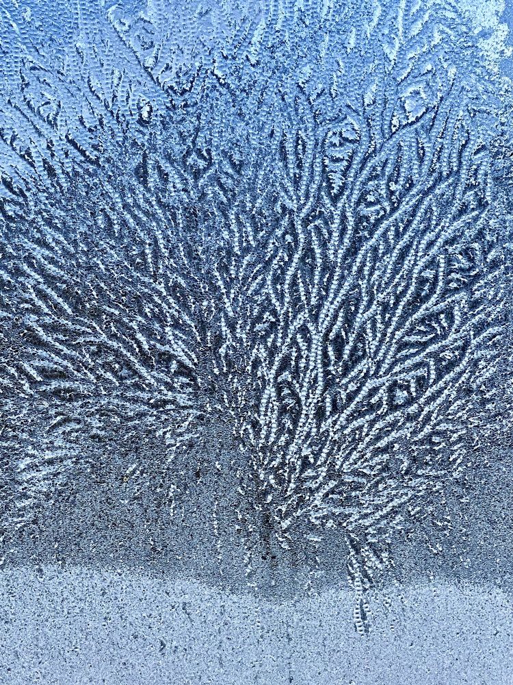 Фотография автора ГУЗАЛИЯ ГАНИЕВА