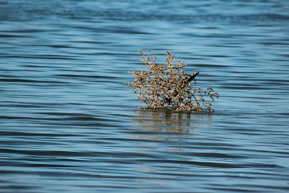 Photograph by Ирина Шибитова