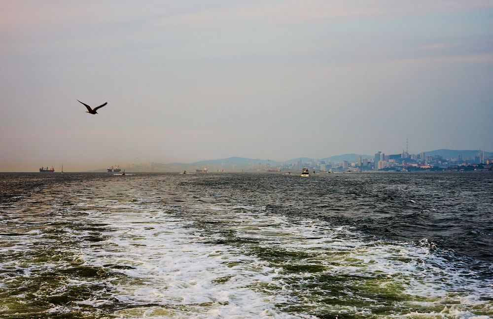 Photograph by Лариса Неман