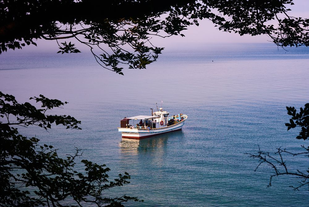 Photograph by Лариса Неман