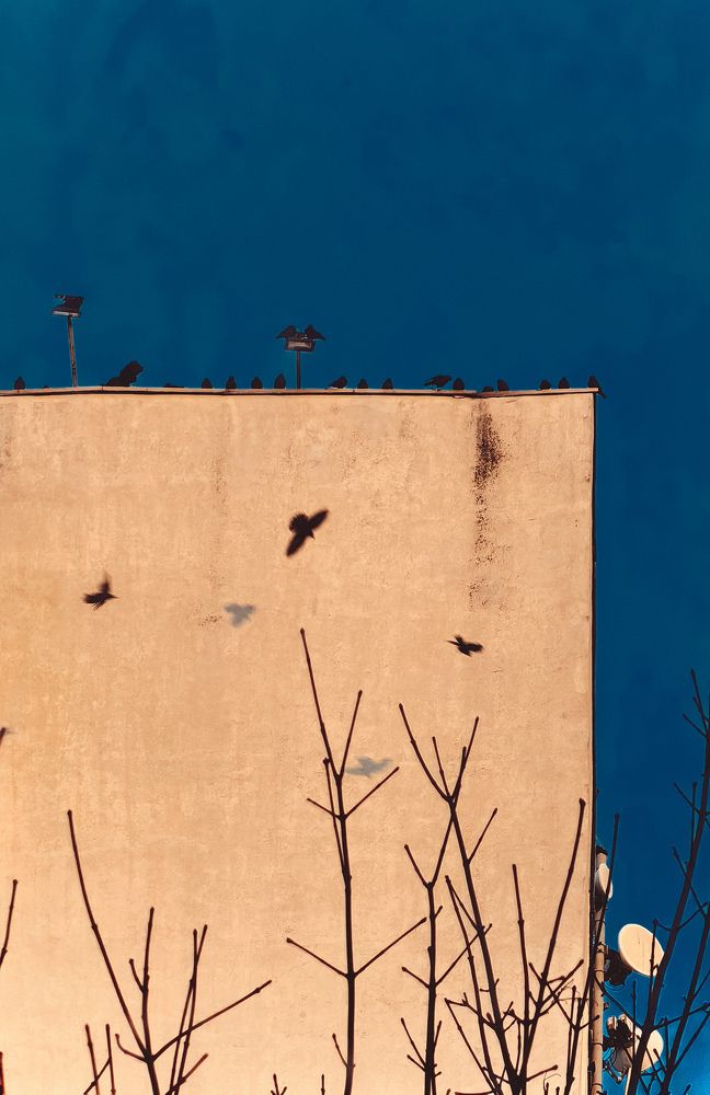 Фотография автора Елена Маслова