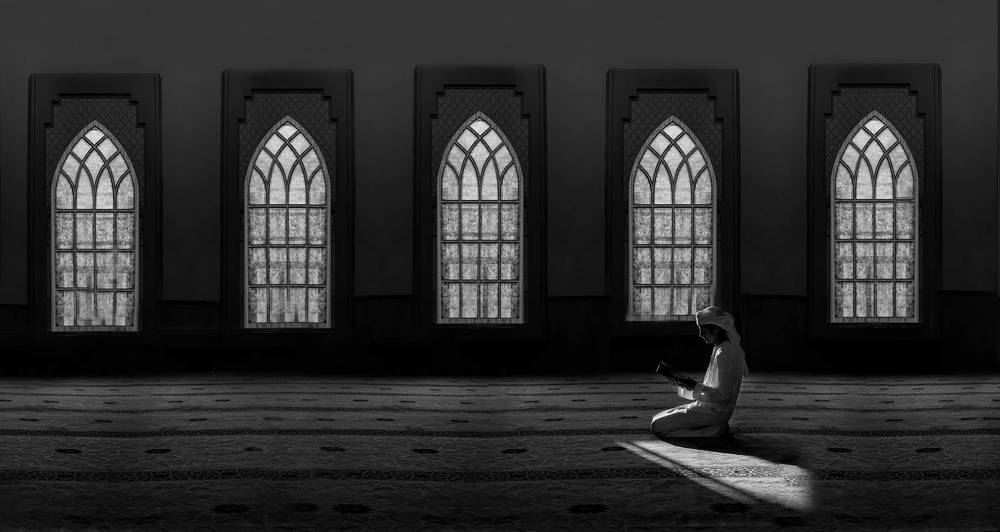 Photograph by Hadine elsaadi