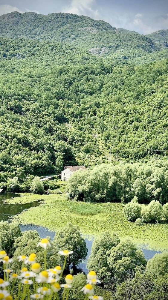 Photograph by Ольга Бибекина