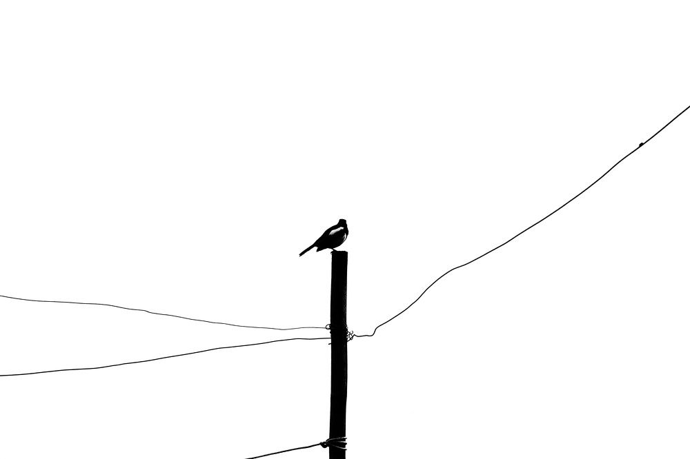 Фотография автора Sheuli Akther