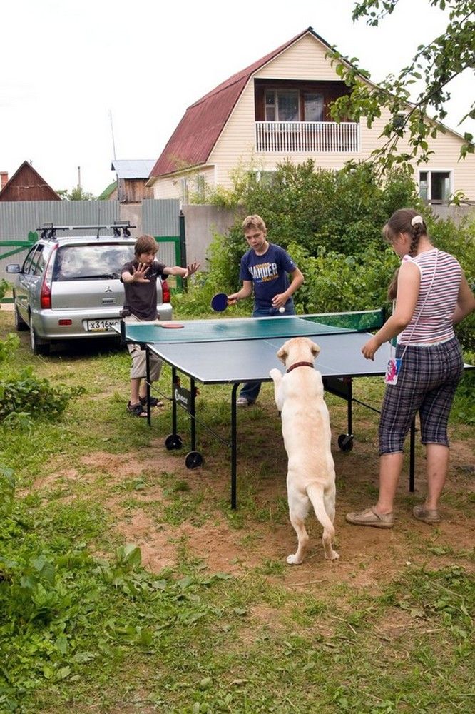 Photograph by Сергей Ключарёв