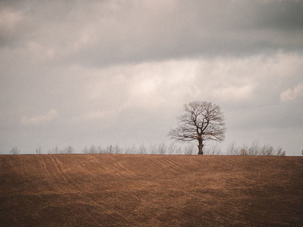 Photograph by Liudmila Kirillova