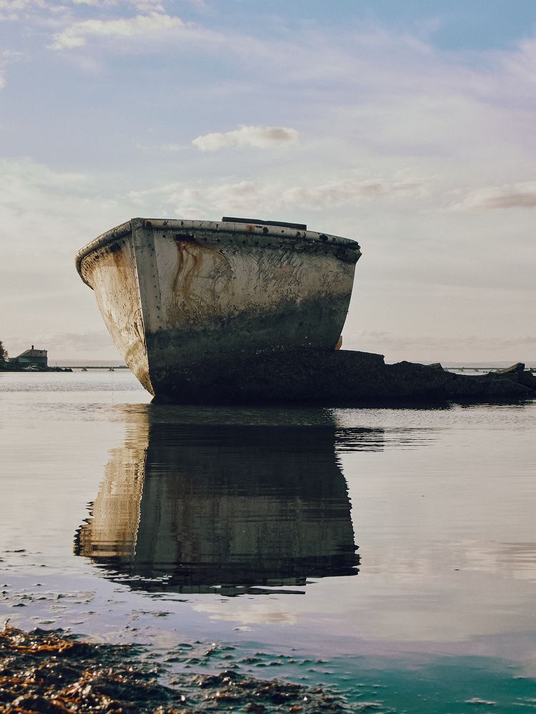 Вросшая в море