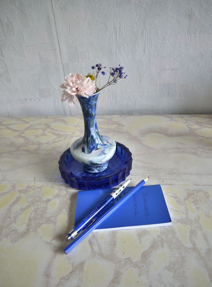 Фотография автора Клавдия Васильева