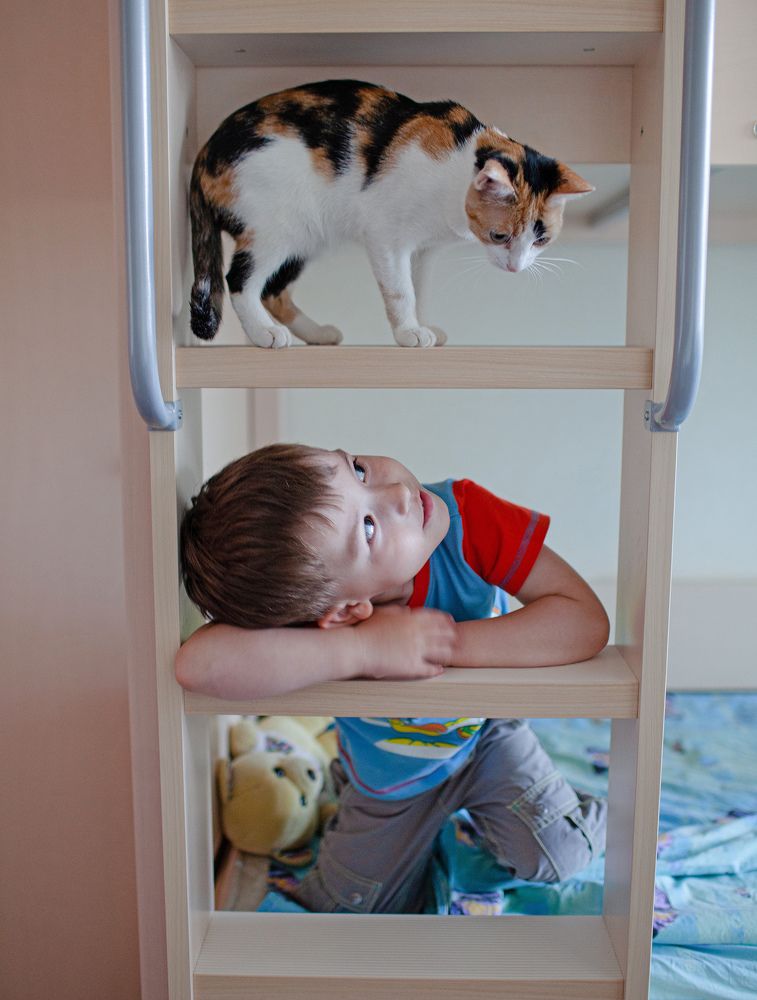 Photograph by Вербицкий Петр