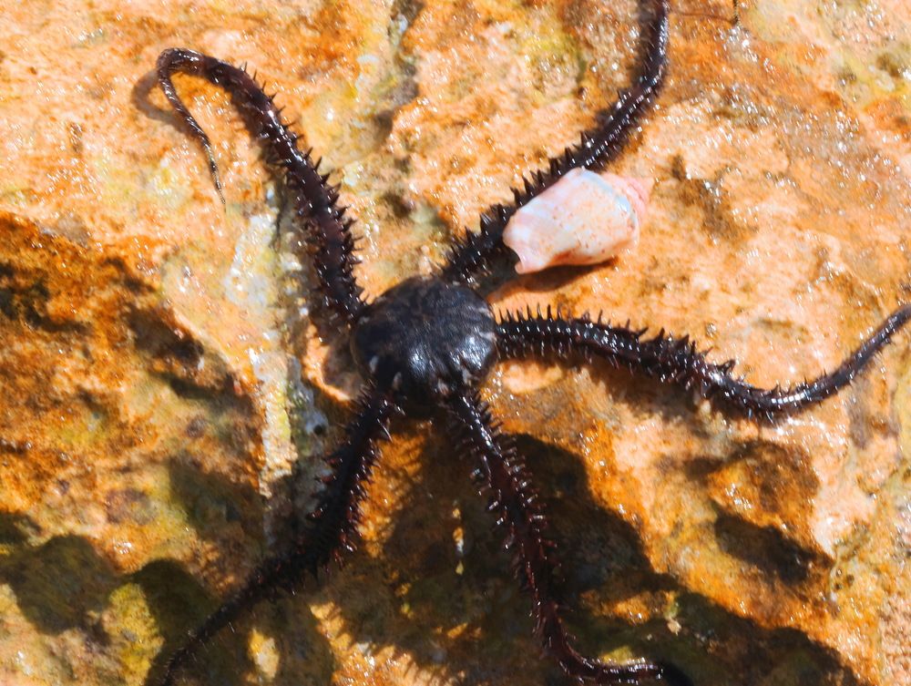 Photograph by Серёга Ануфриев