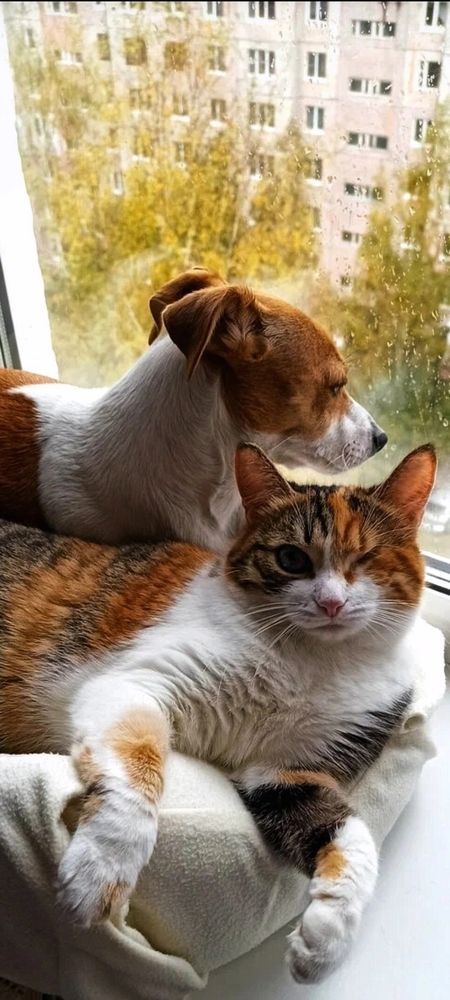 Photograph by Татьяна Исаева