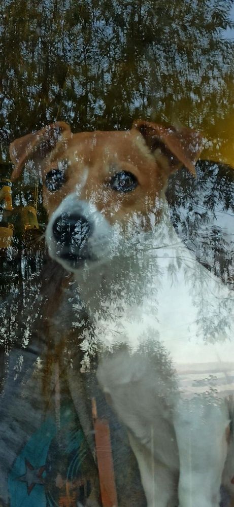 Photograph by Татьяна Исаева