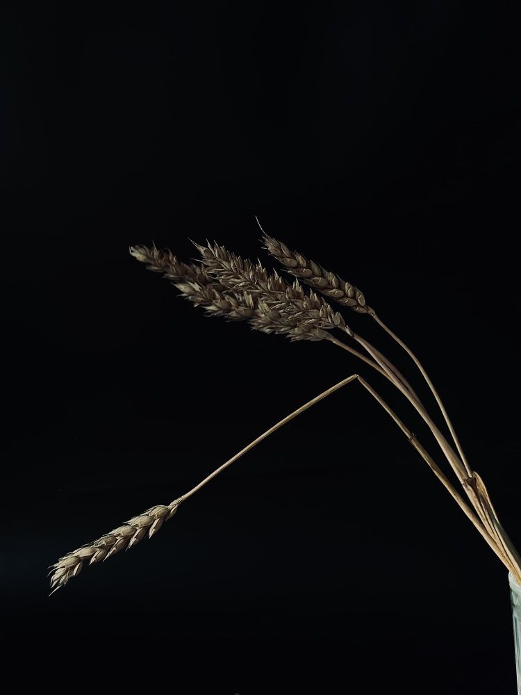 Photograph by Диана Бадеева