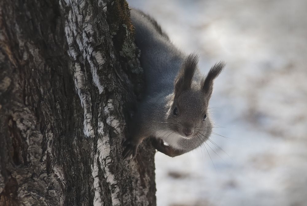 Photograph by Наталья Дроздова