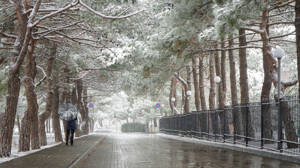 Photograph by Александр Куимов