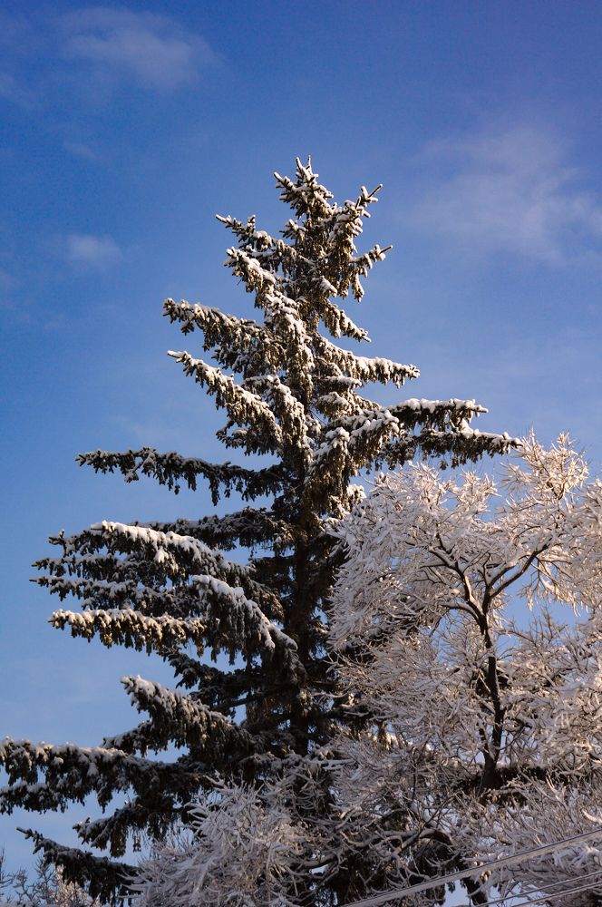 Photograph by Наталья Струц