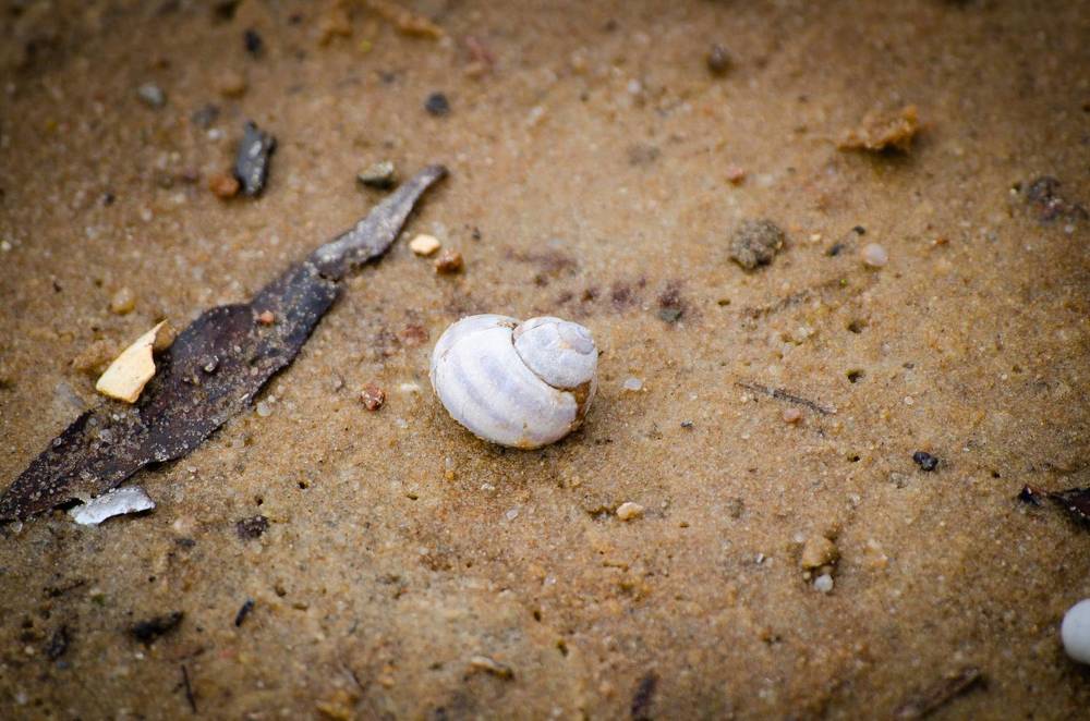 Photograph by Mishel Photographer