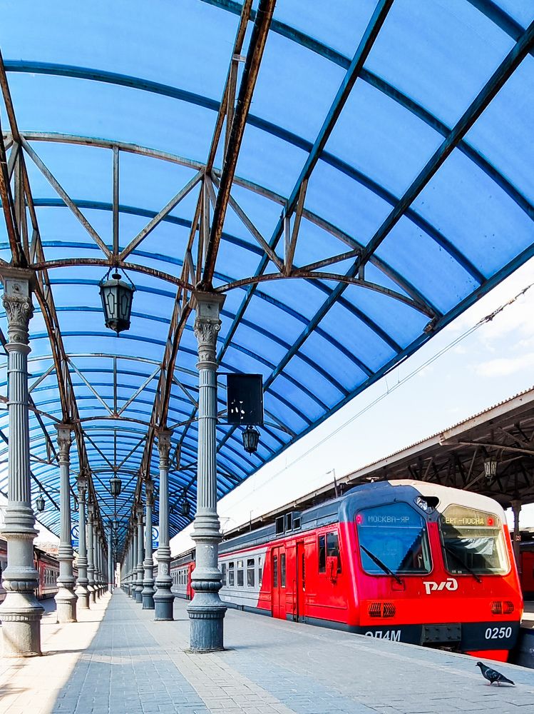 Фотография автора Светлана Алексеева