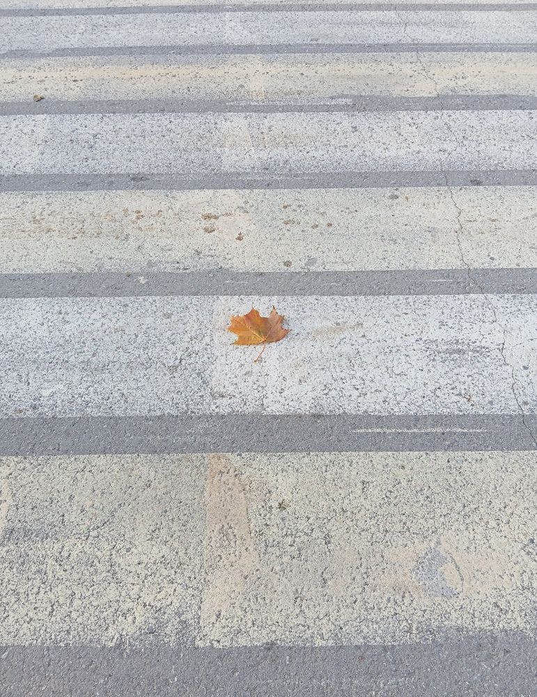 Photograph by Елена Коробченко