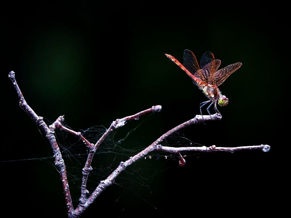 Перед взлётом.