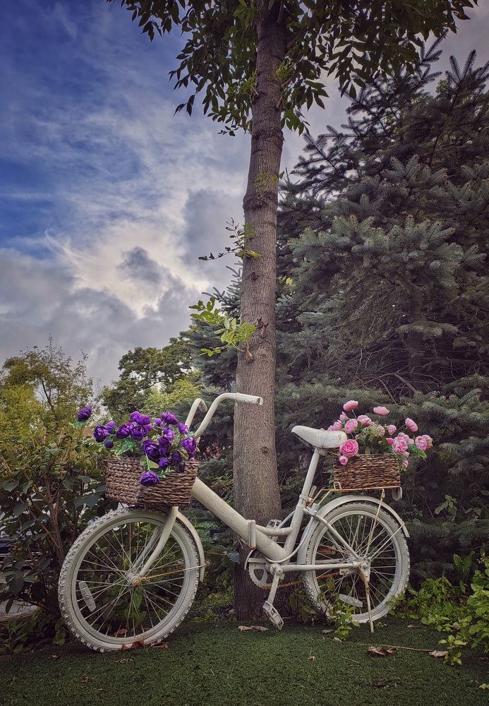 Фотография автора НАТАЛЬЯ СЕВЕР