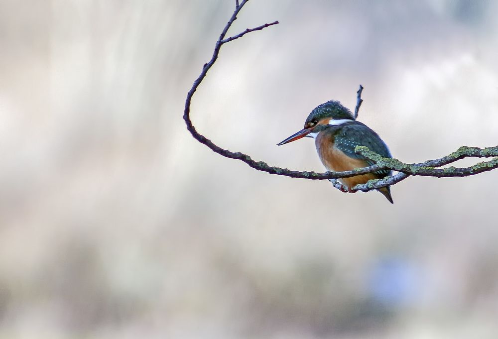 Фотография автора Александр