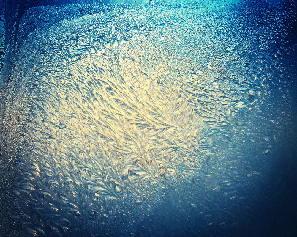 Photograph by Антонов Александр