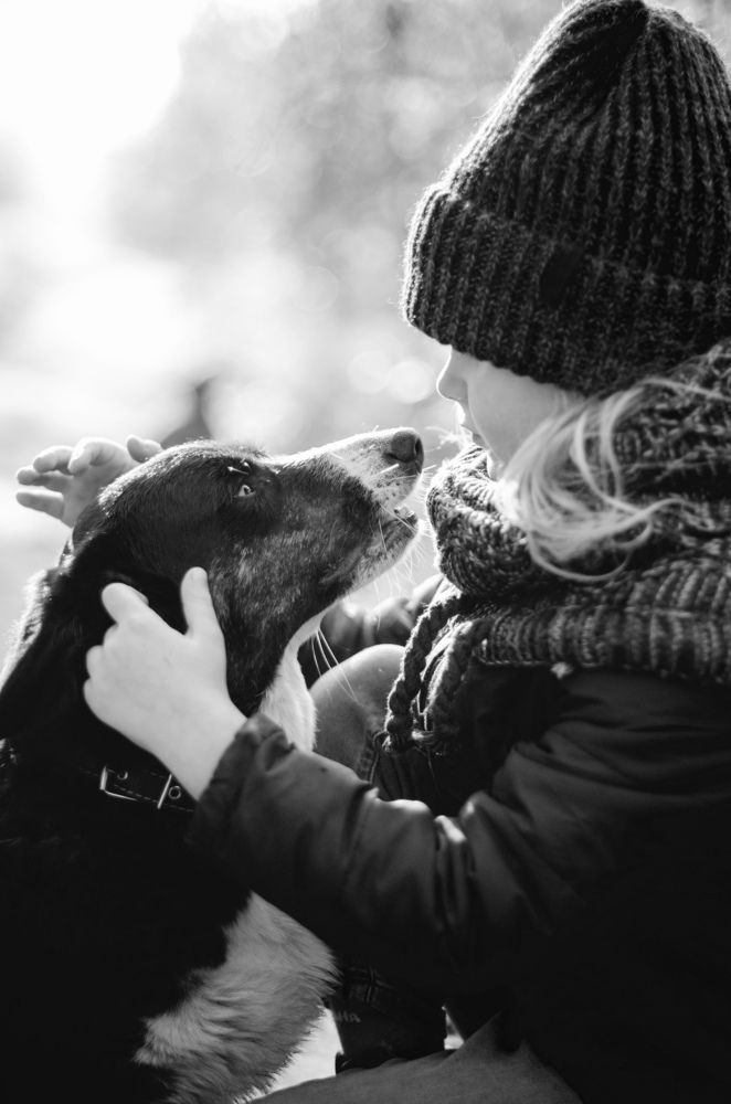 Фотография автора Ира Шугаева