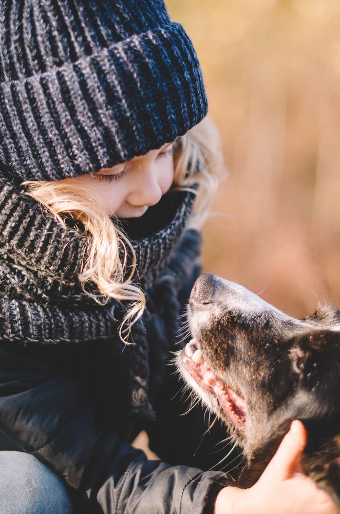 Фотография автора Ира Шугаева