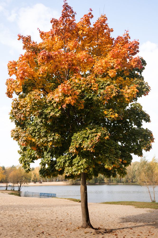 Photograph by Юлия Шевцова