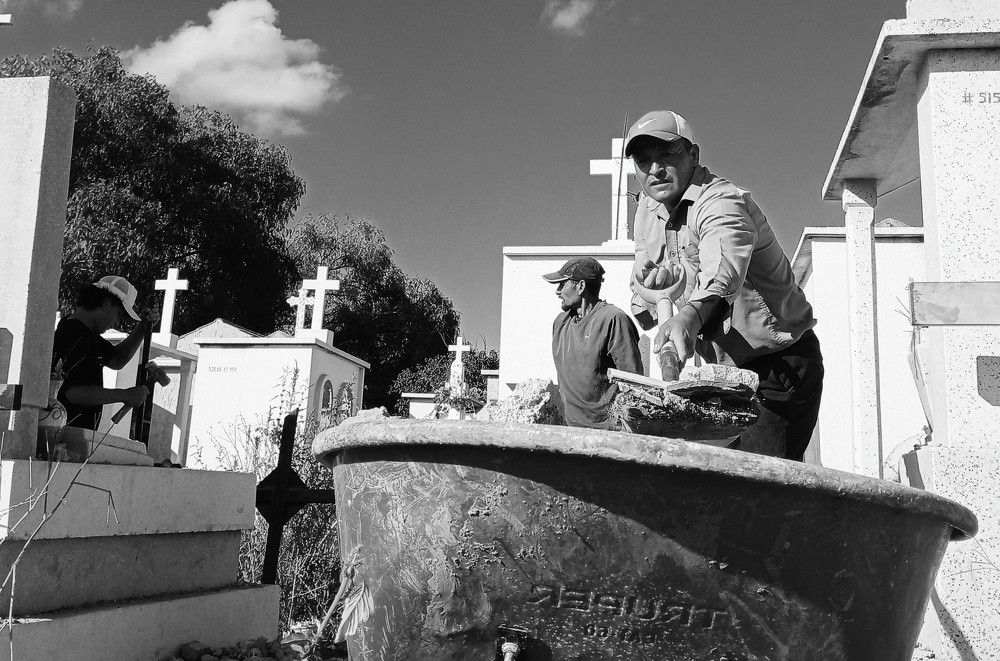 Photo #11337869