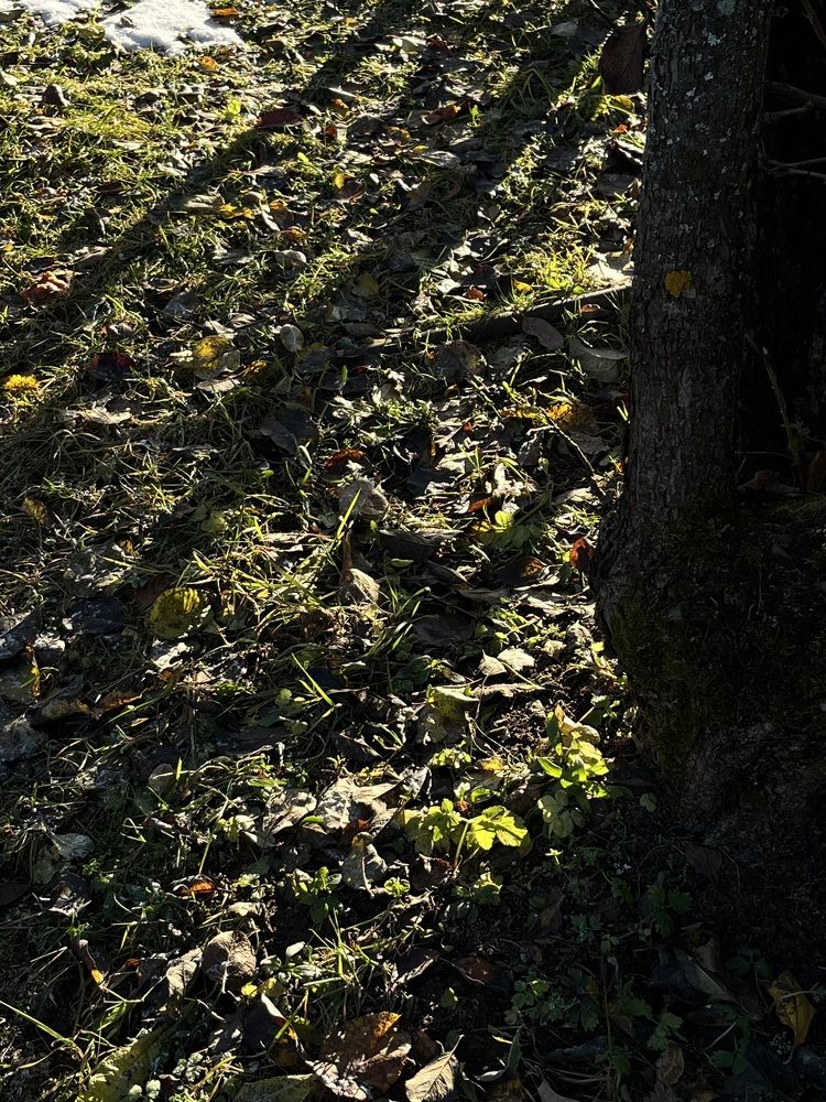 Фотография автора Аня Столярова