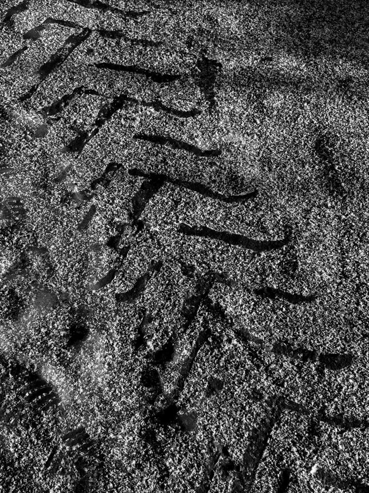 Фотография автора Аня Столярова