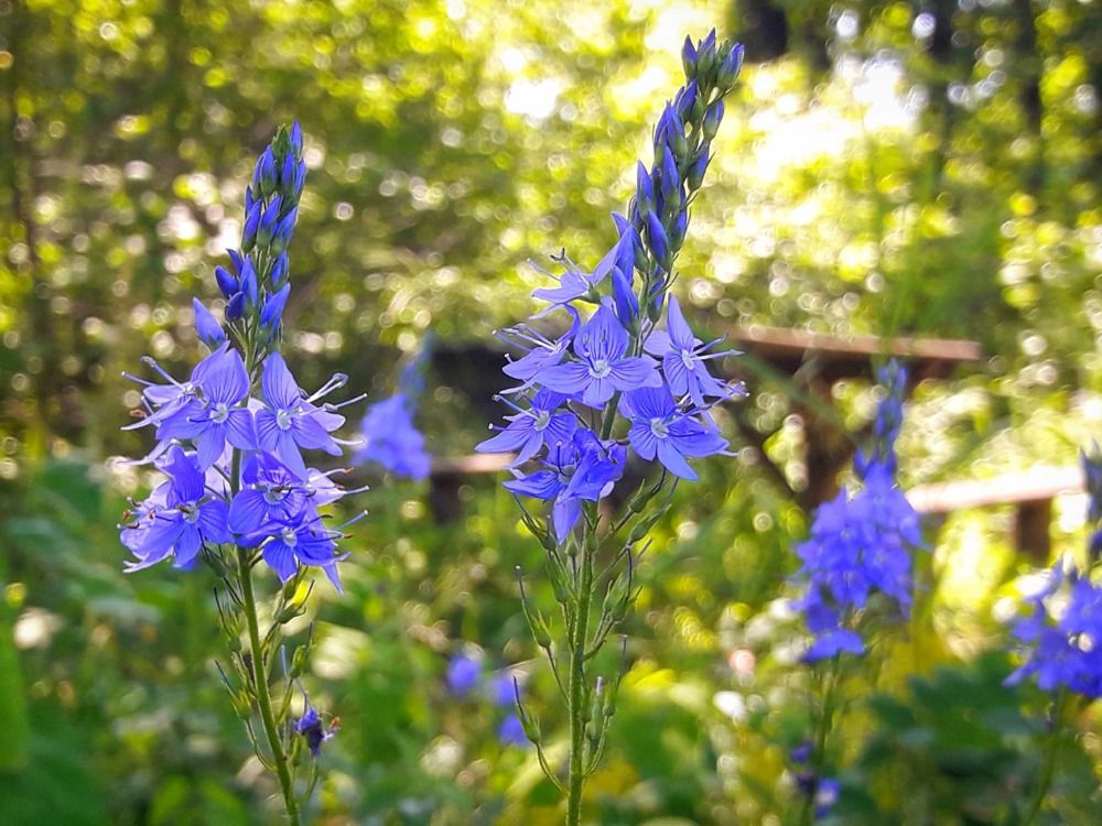 Photograph by Марина Мальцева